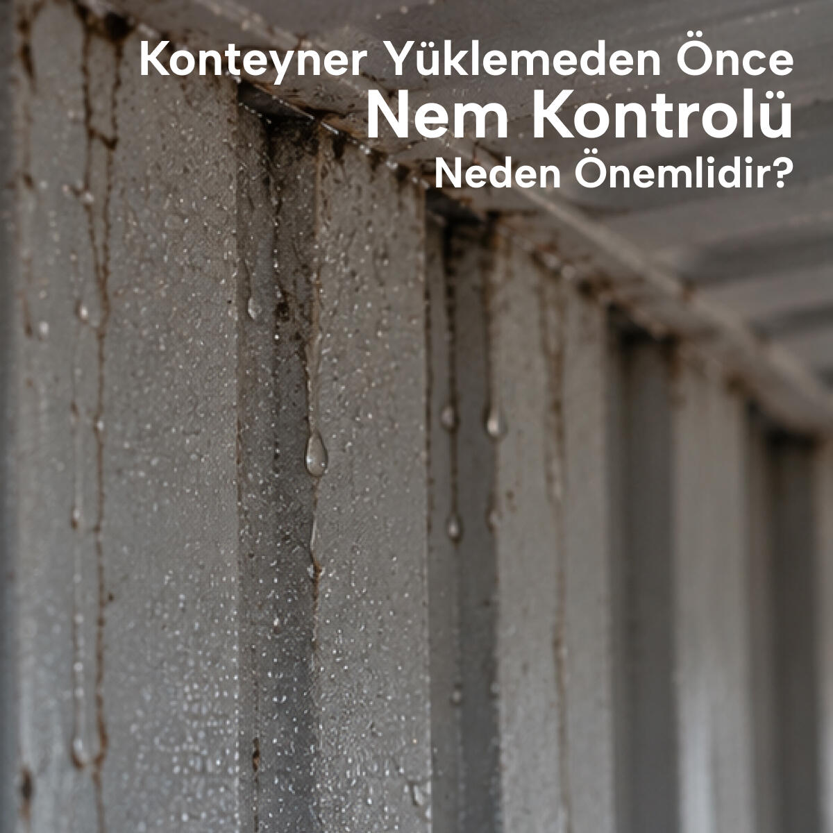 Konteyner Yüklemeden Önce Nem Kontrolü Neden Önemlidir?