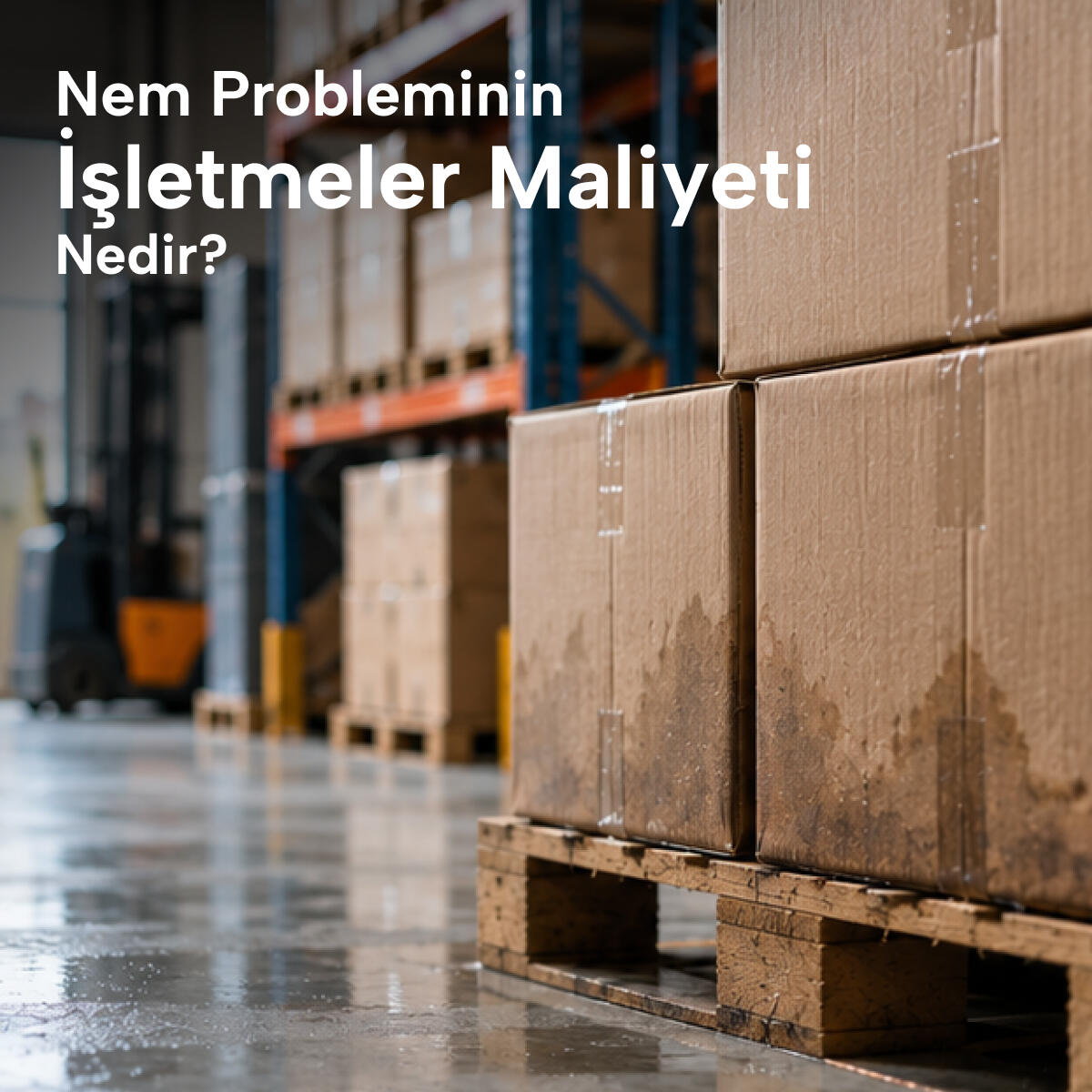 Nem Probleminin İşletmelere Maliyeti Nedir?